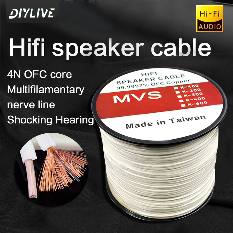 Home Cinema Xlr - DIYLIVE HiFi Speaker Line for Home