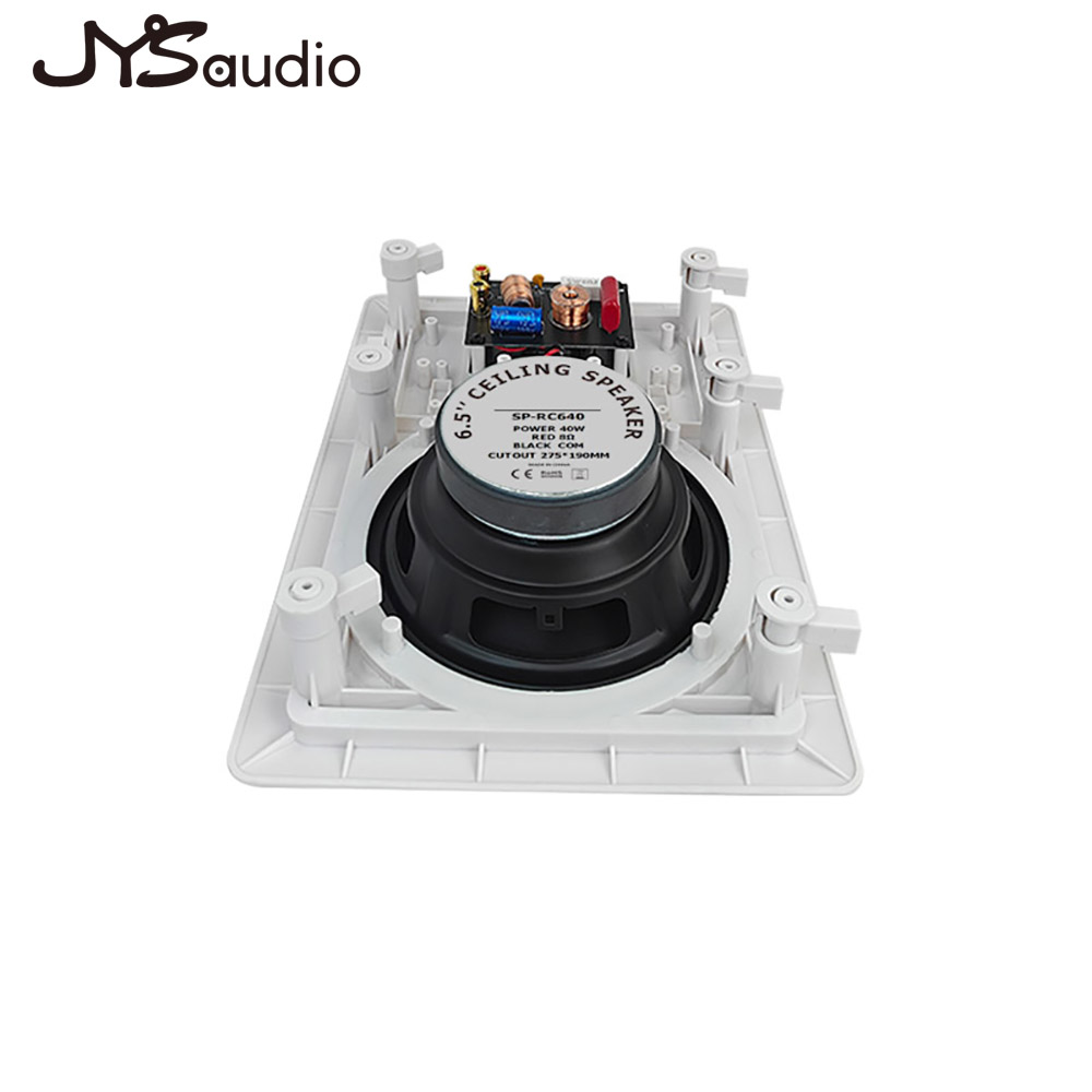 In-wall Speaker Two-way Loudsp - Home Cinema Speakers recensione e prezzo