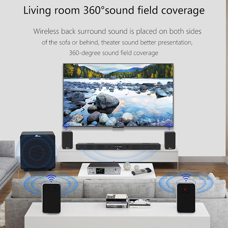 DTS Digital 5.1 Decoder Digita - Surround Sound Decoder recensione e prezzo