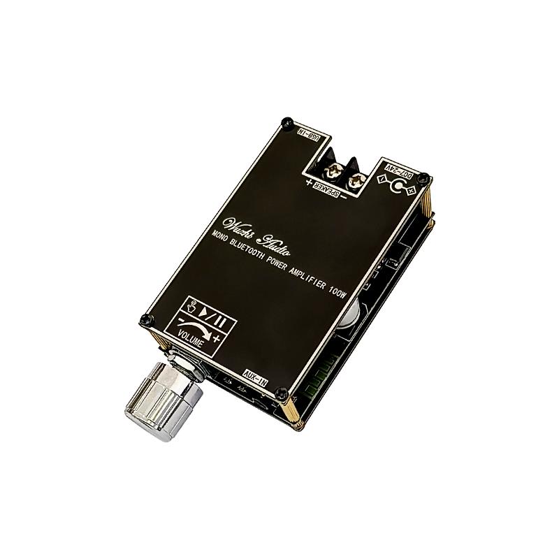 Bluetooth 5.1 TPA3116 D2 Mono  - Home Cinema Installation recensione e prezzo
