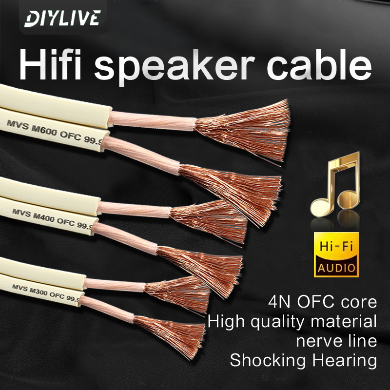 DIYLIVE HiFi Speaker Line for  - Home Cinema Xlr recensione e prezzo