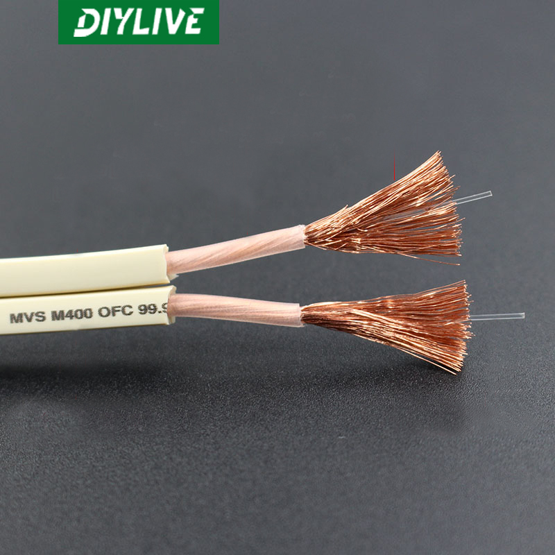 DIYLIVE HiFi Speaker Line for  - Home Cinema Xlr recensione e prezzo