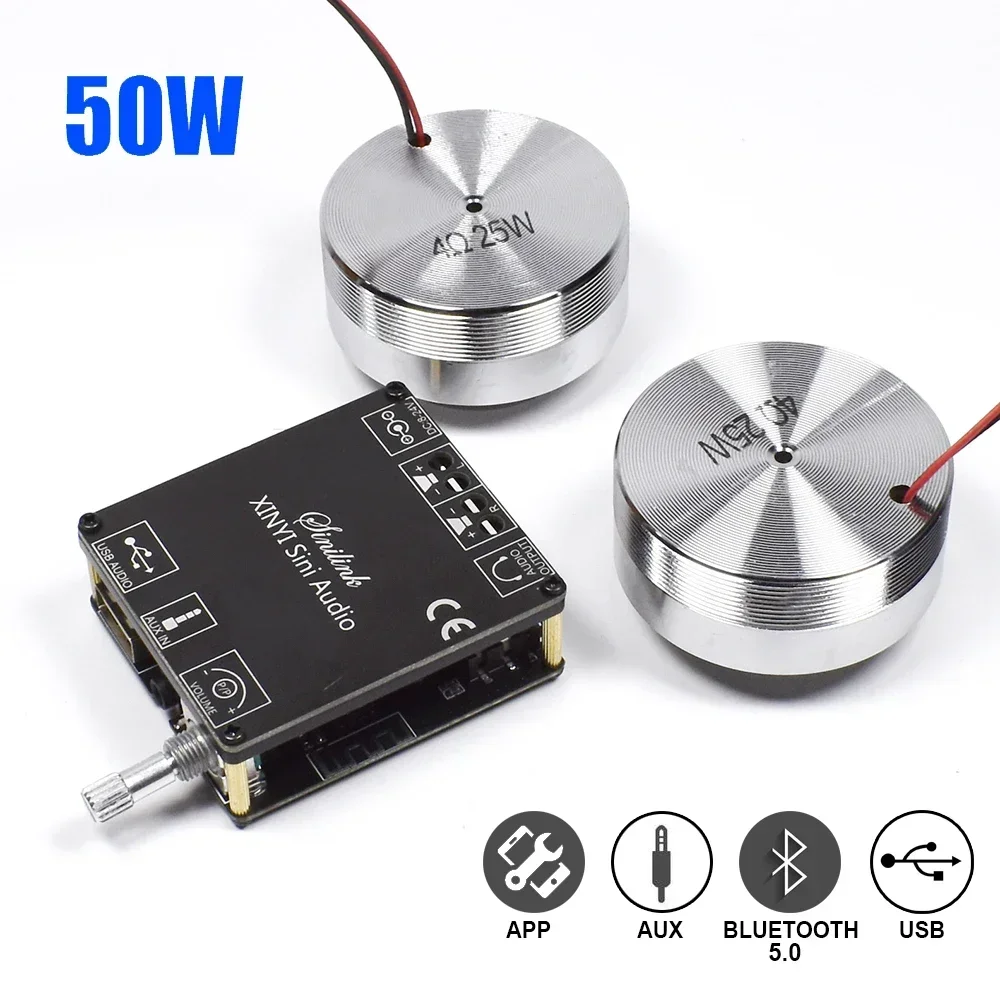 2*25W Portable Stereo Vibratio - Home Cinema Installation recensione e prezzo
